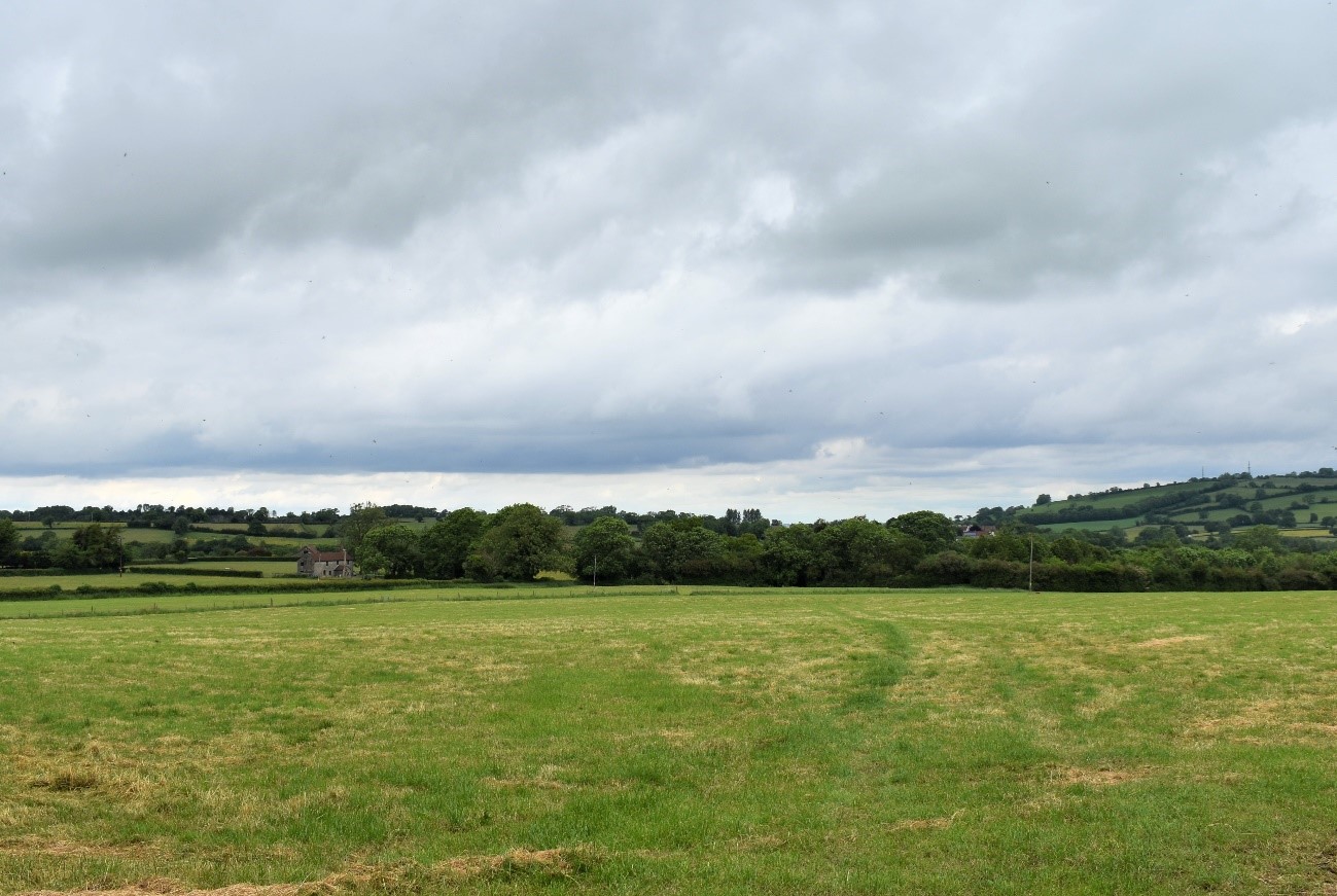 Pasture fields on the plateau in LCA G1 with small woodland blocks and occasional hedgerow trees.