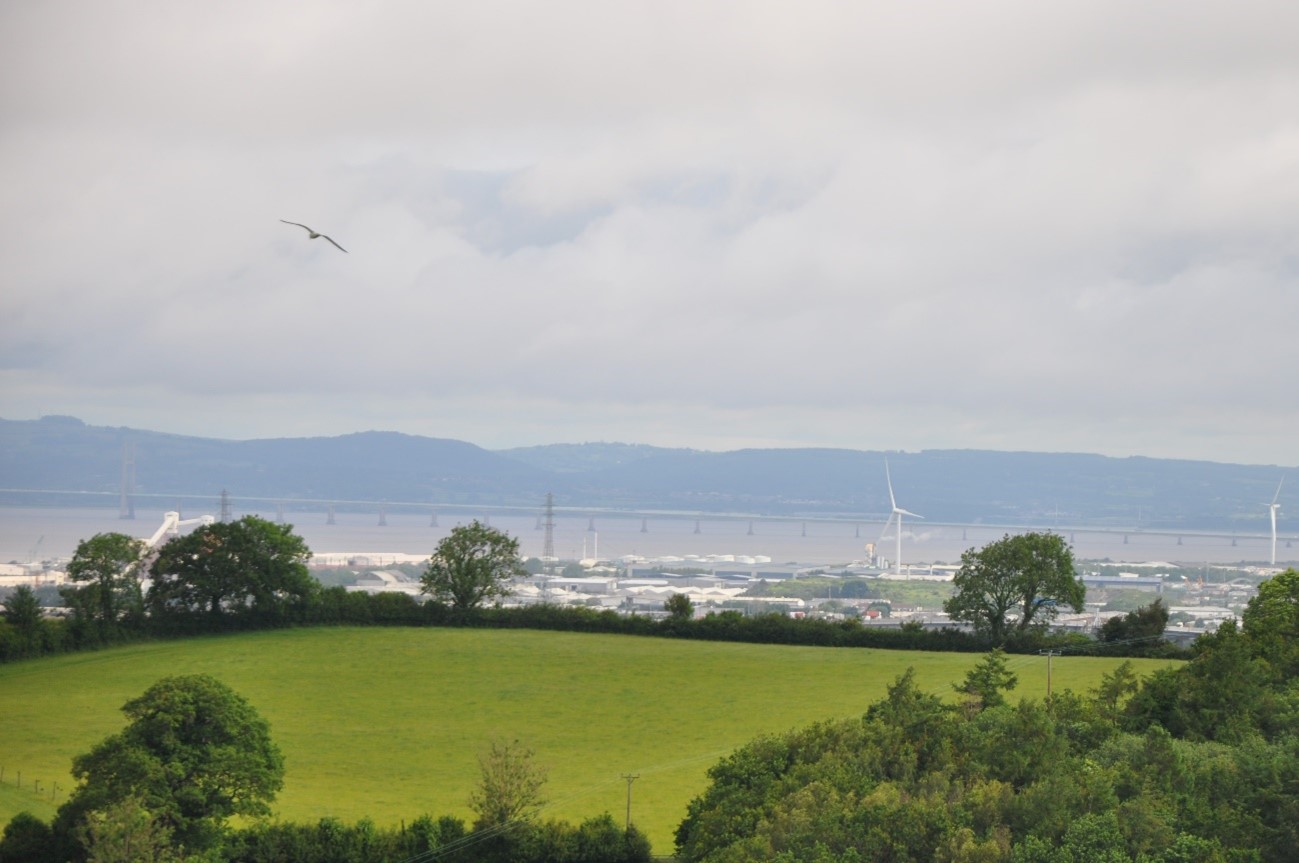 Views towards the industrial skyline of LCA C2 from LCA E4 (Portishead Ridges and Combes).