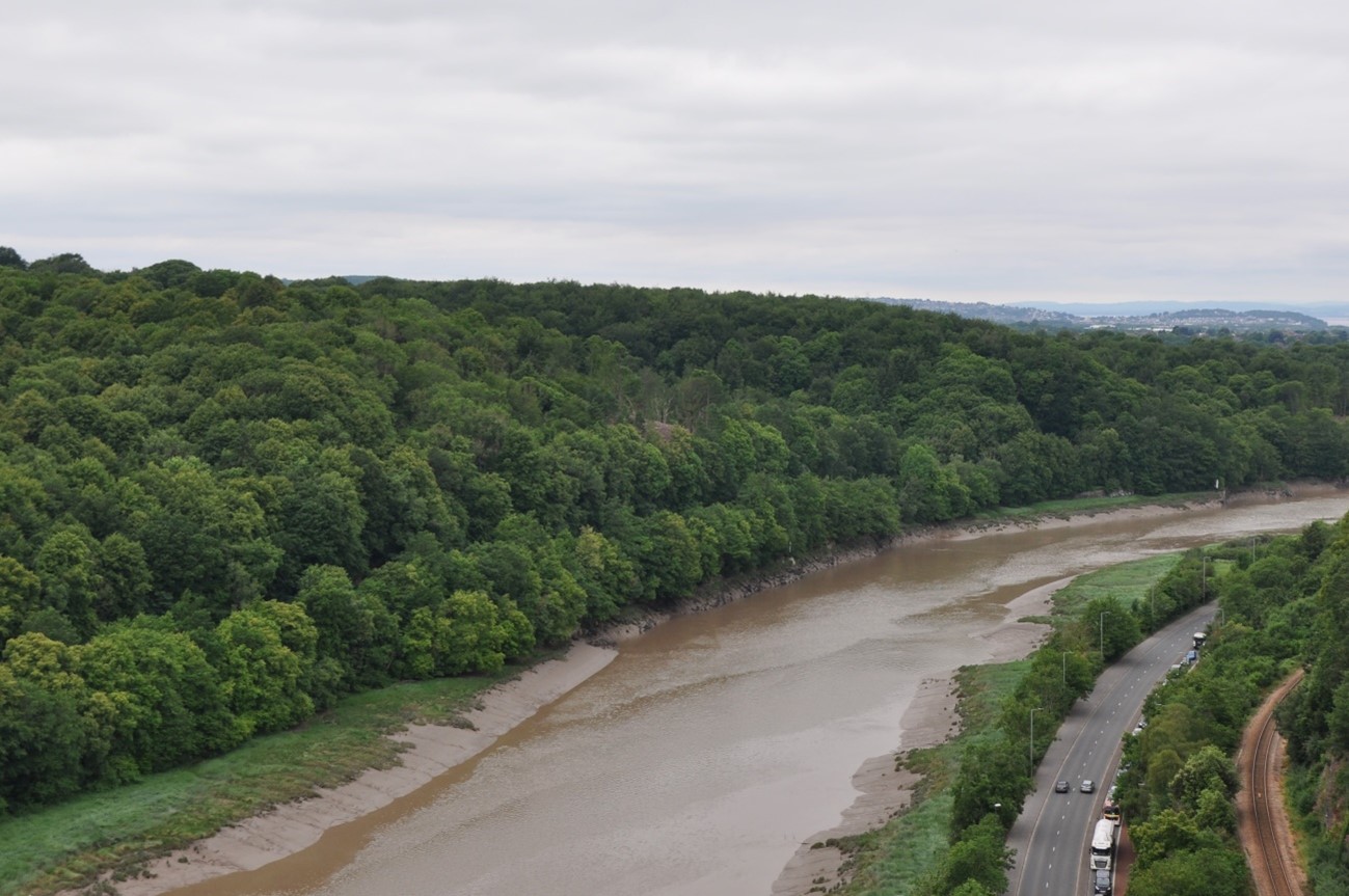 View north-west across the Avon Gorge towards Leigh Woods.