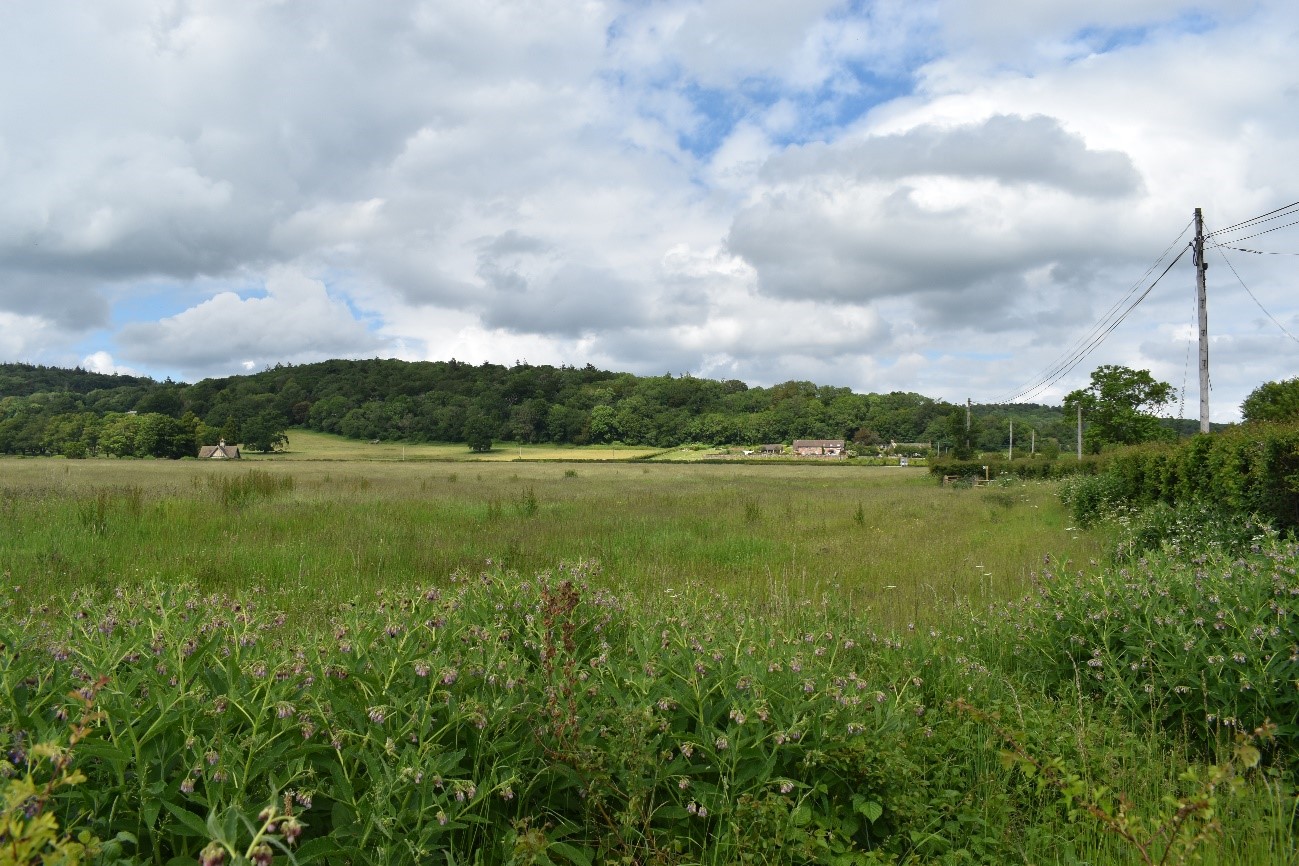 Views towards the wooded Tickenham Ridge (LCA E5) from the Land Yeo and Kenn River floodplain (LCA B1).