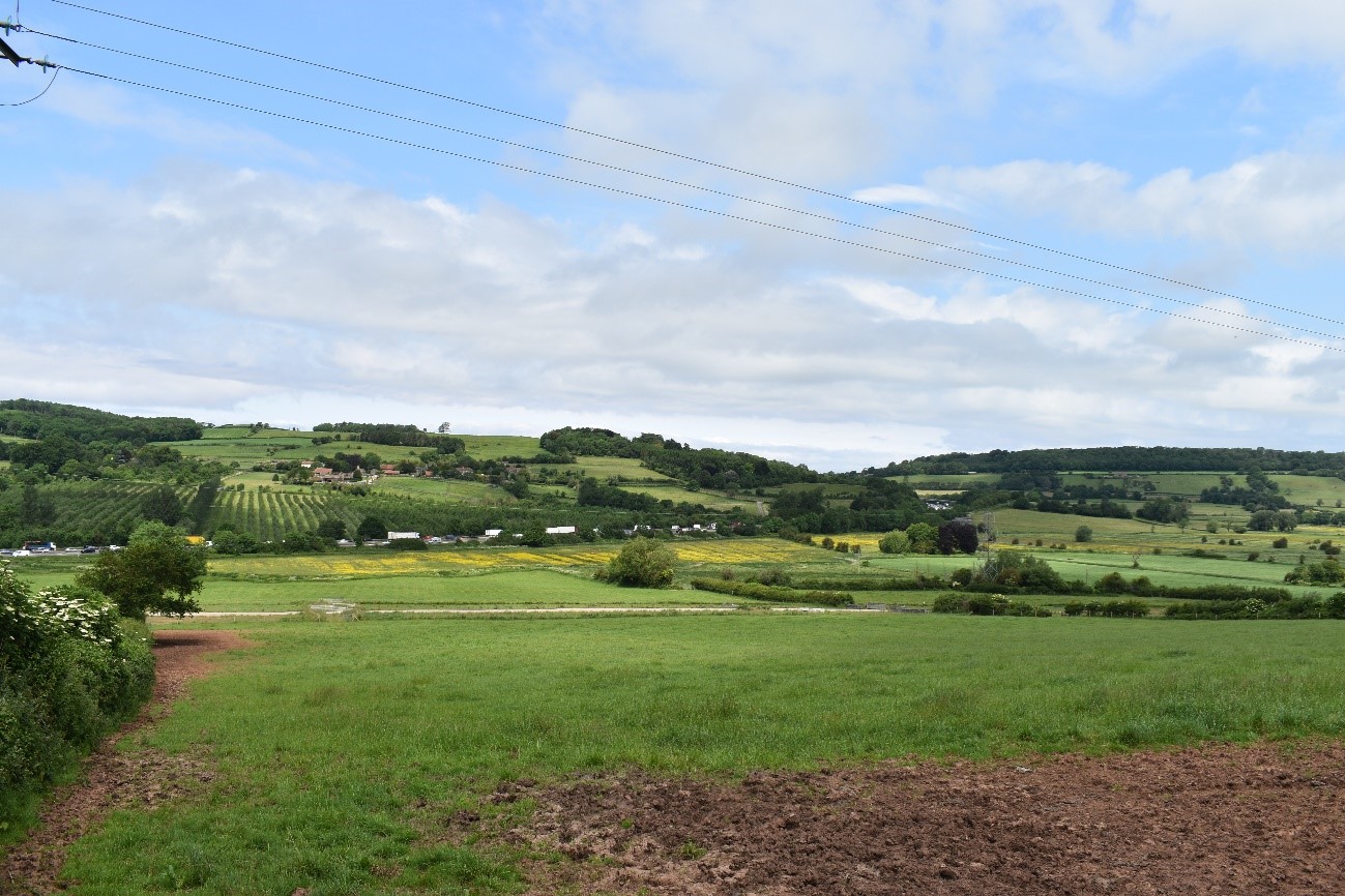 Woodland cover on Bleadon Hill (LCA E1) comprises scattered woodland blocks and a commercial orchard.
