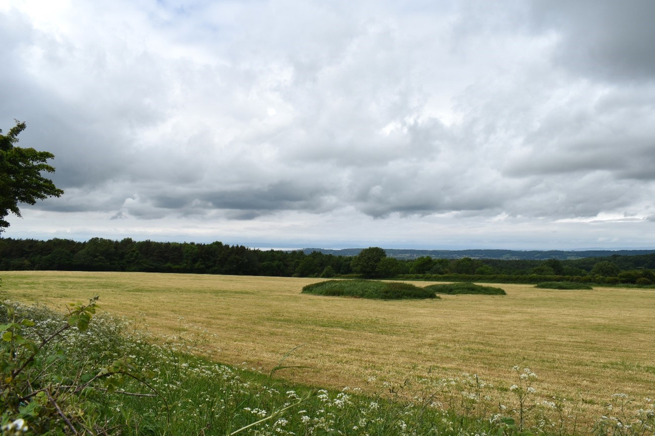 Existing conifer plantation in adjacent LCA E6 Cleeve Ridges and Combes could be extended on the Bradfield Down Plateau (LCA G1).