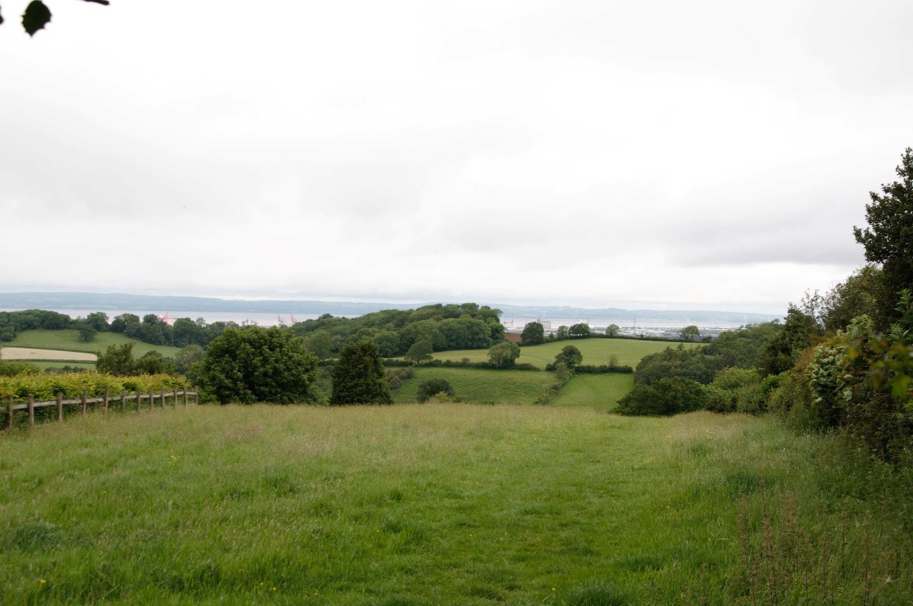 Mixed landcover pattern of small-scale fields with wooded hedgerows and woodland copses, with views to the Severn Estuary.