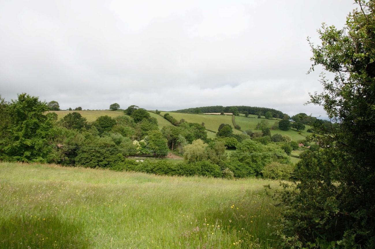 Rolling landform, with woodland following the course of the Markham Brook.