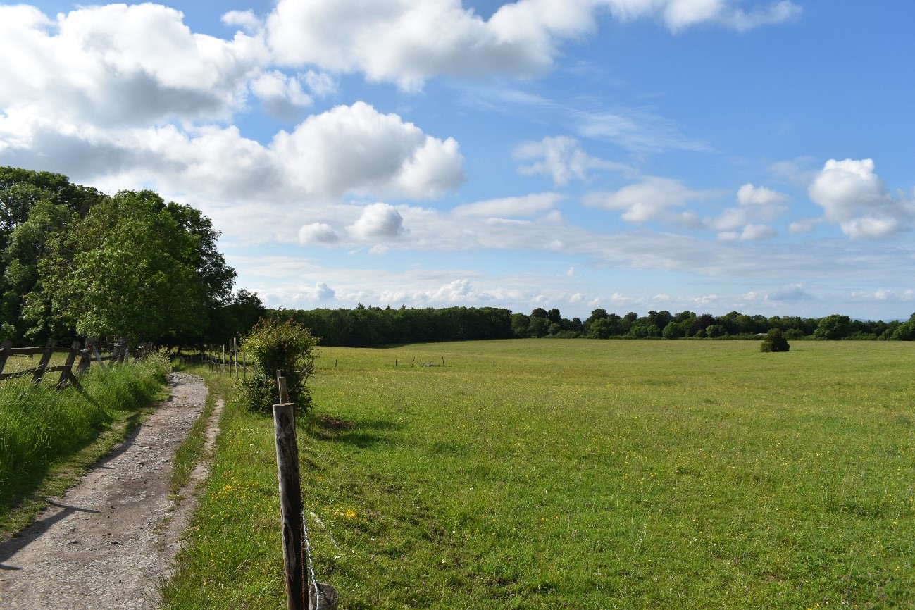 Pasture fields on the Failand Plateau near Abbots Leigh are enclosed by deciduous woodland which contributes to the wooded character of the LCA.