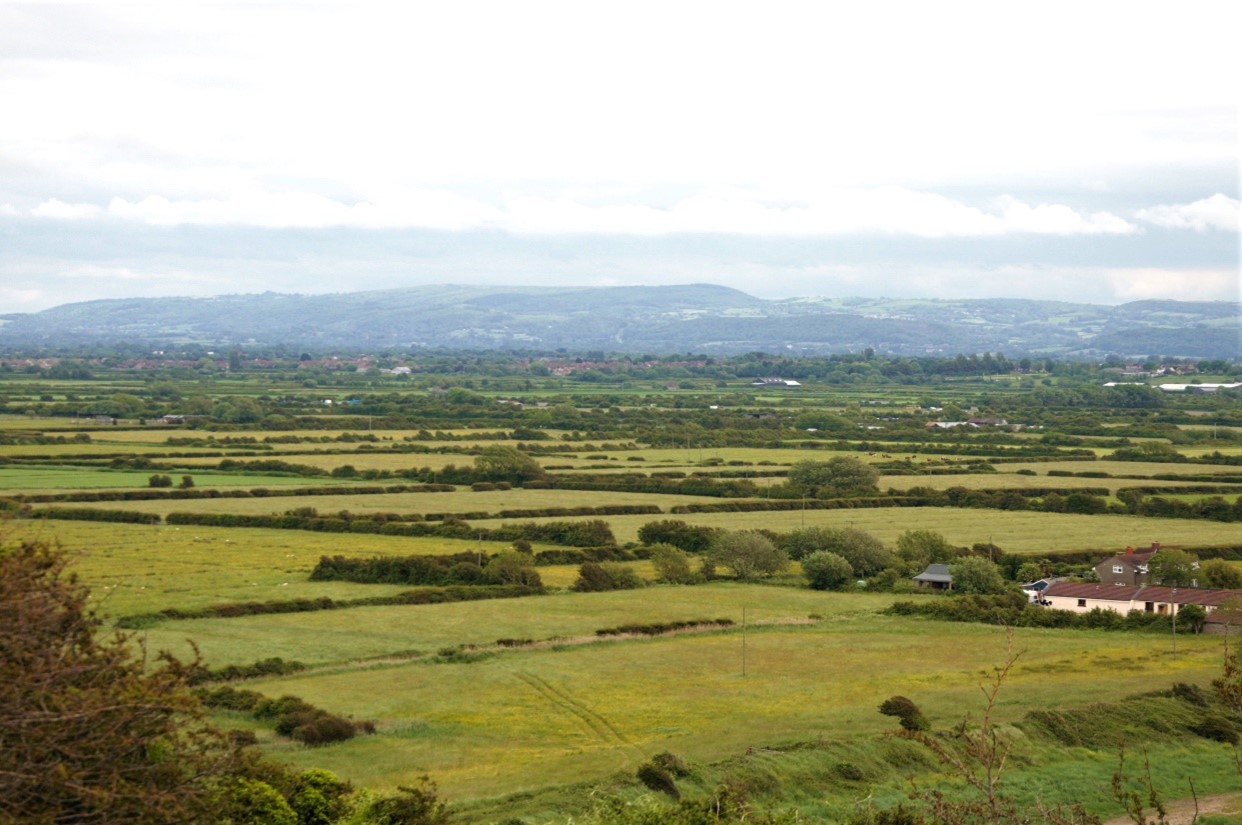 The distinctive field patterns of the sparsely-wooded Moors LCT.