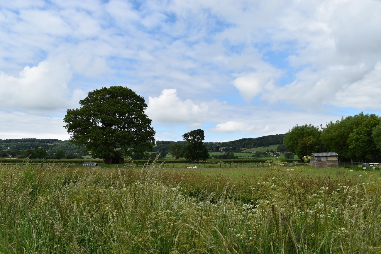 Open views over lowland floodplain pasture in LCA B1.