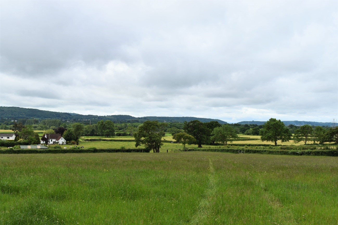 View across pastoral fields with mature in-field trees near Wrington (LCA J2) looking towards the Mendip Ridge (LCA E1).