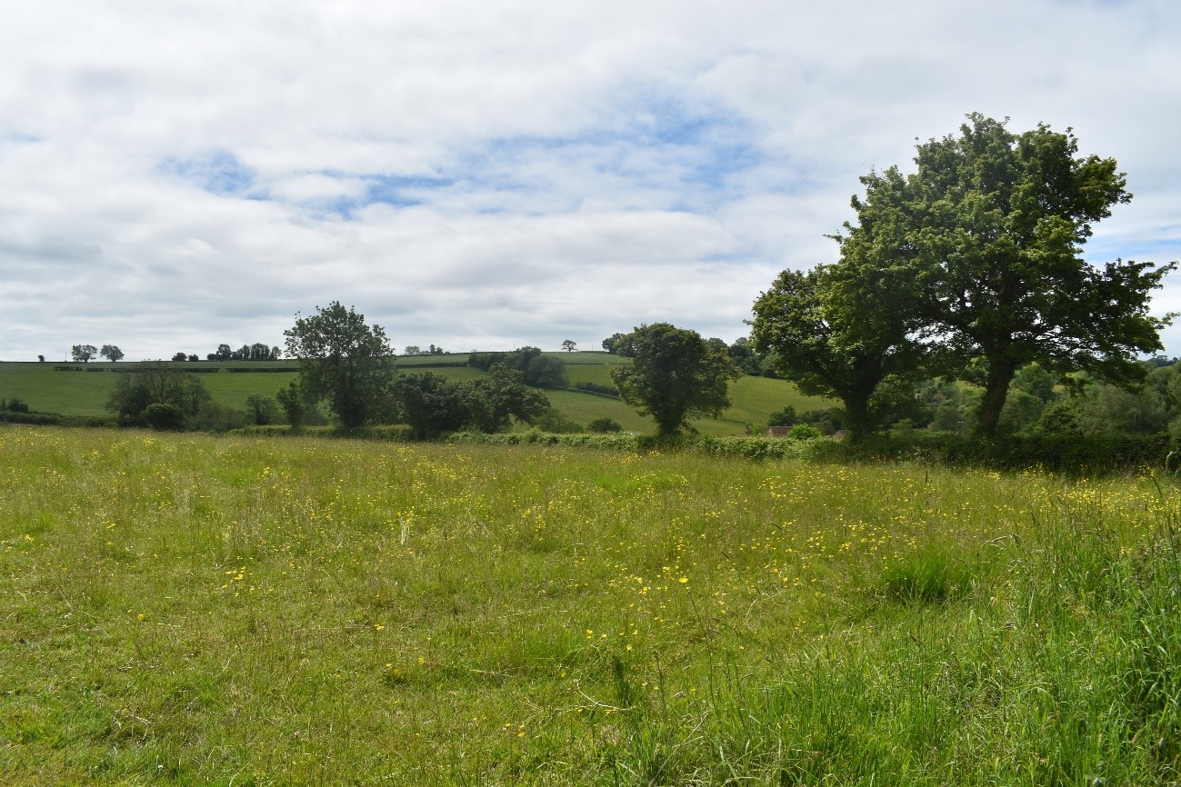 The intricate field pattern and undulating topography in LCA J3 would sensitive to woodland expansion that could mask the small-scale field pattern.