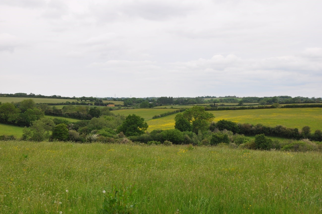 Woodland is typically concentrated in stream valleys, such as the Feltham Brook (LCA 5).