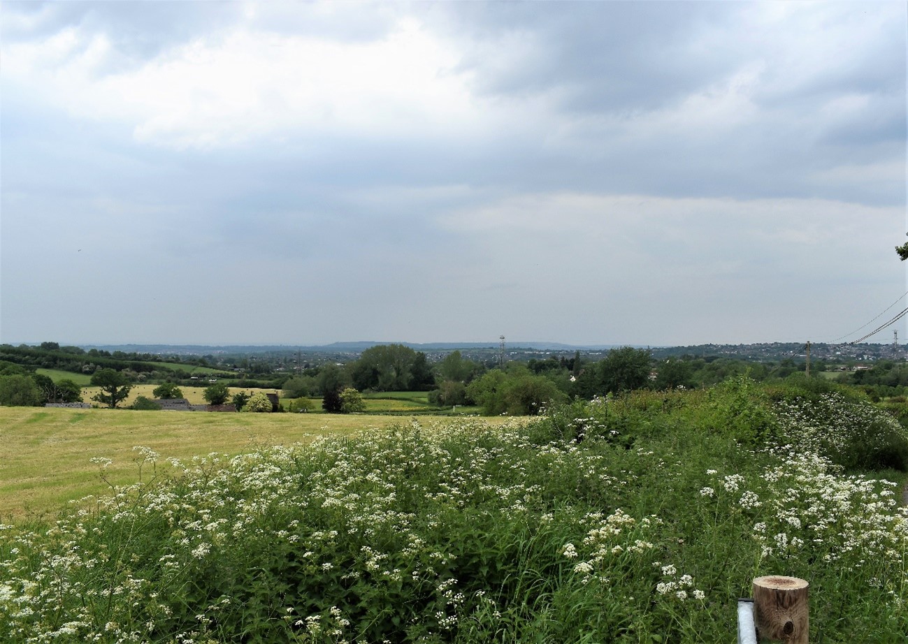 Undulating fields enclosed by hedgerows with hedgerow trees along the Oldland Ridge (LCA 12).