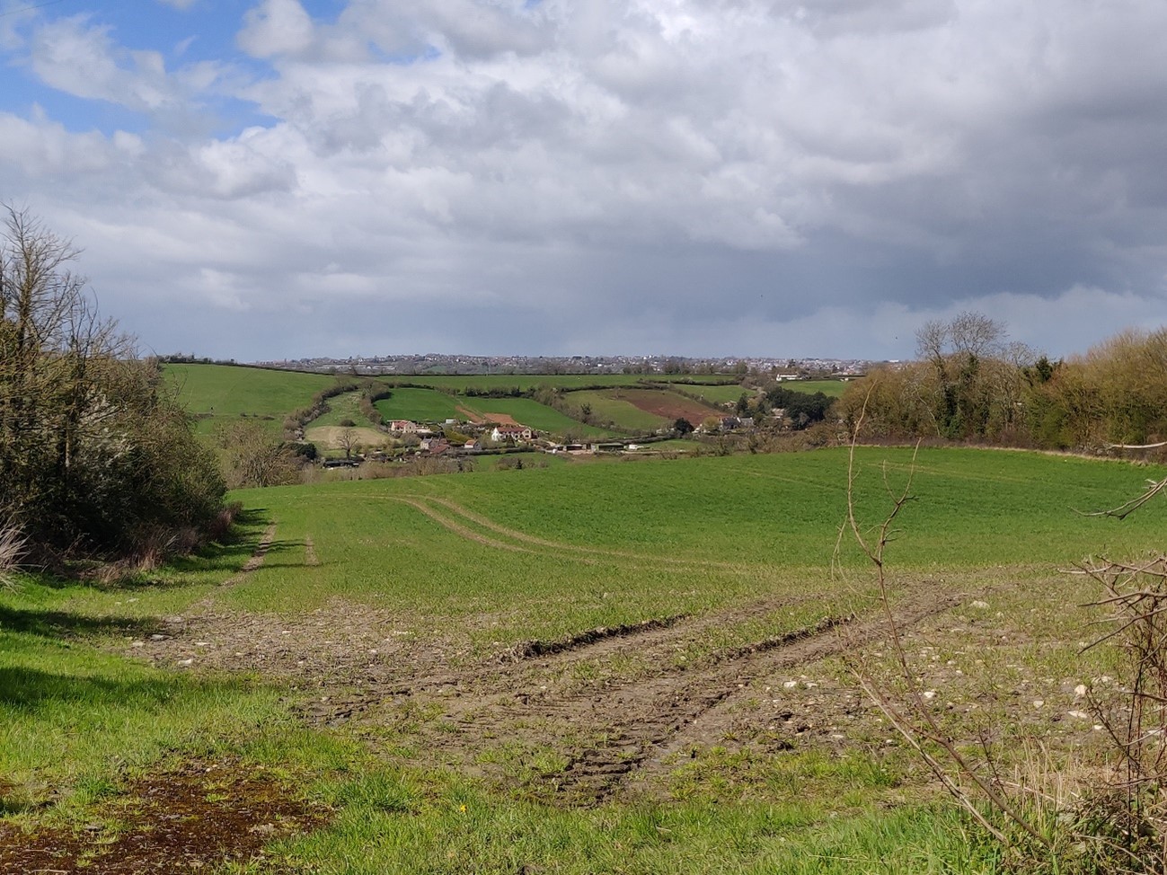 The agricultural landscape of the Golden Valley (LCA 11) is relatively open, with canopy cover limited to occasional hedgerow trees.