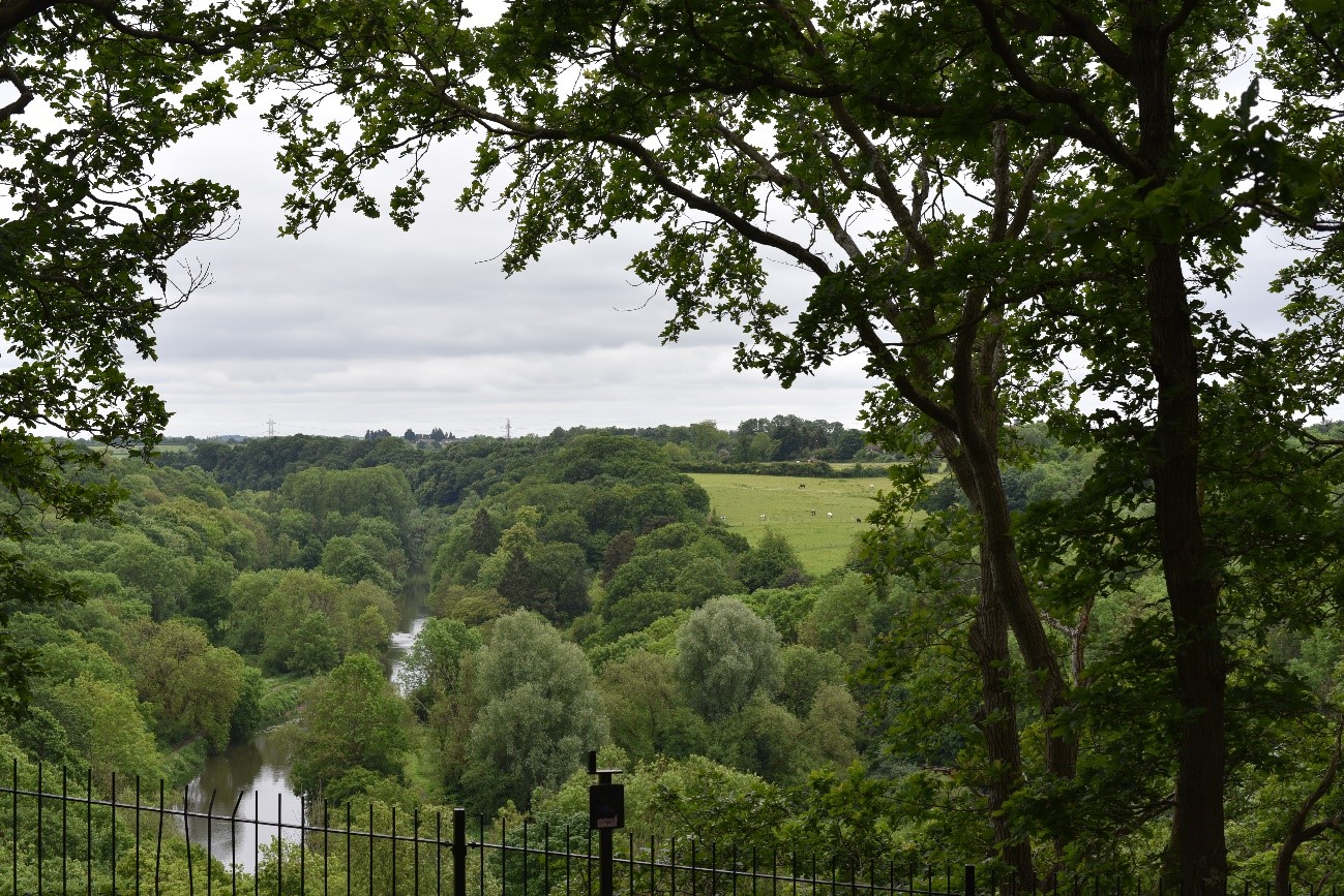 The densely wooded Avon Valley (LCA 16) near Hanham.
