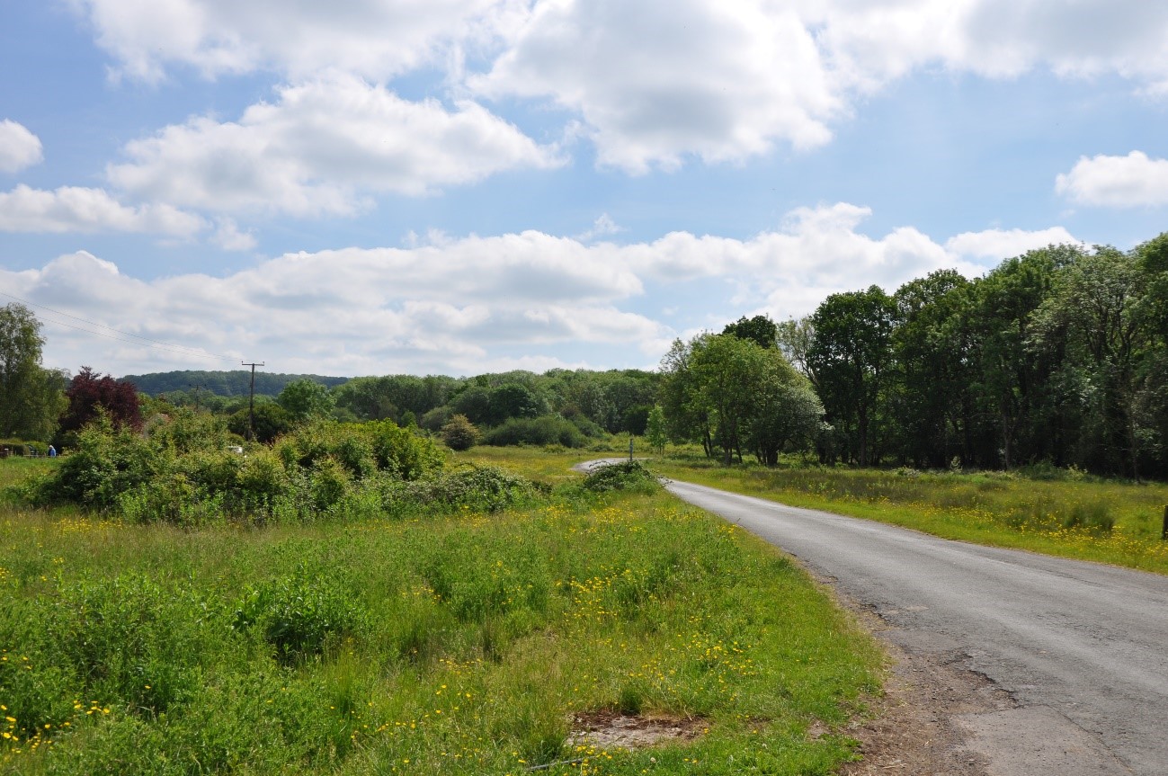 Lower Woods on Hawkesbury Common (LCA 5).