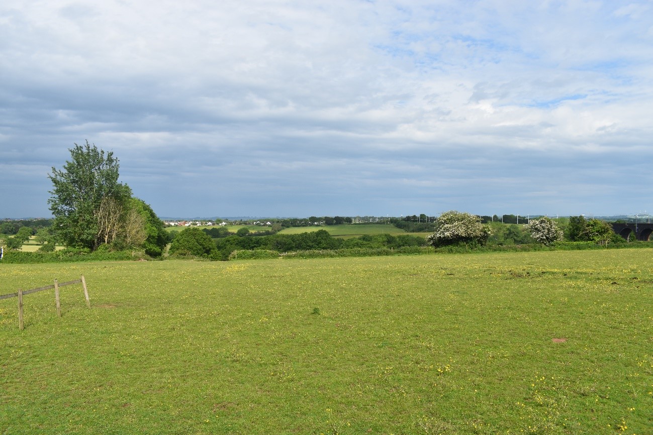 View across the wooded Frome Valley (LCA 13). Hedgerow trees contribute futher to the canopy cover in the surrounding agricultural landscape.