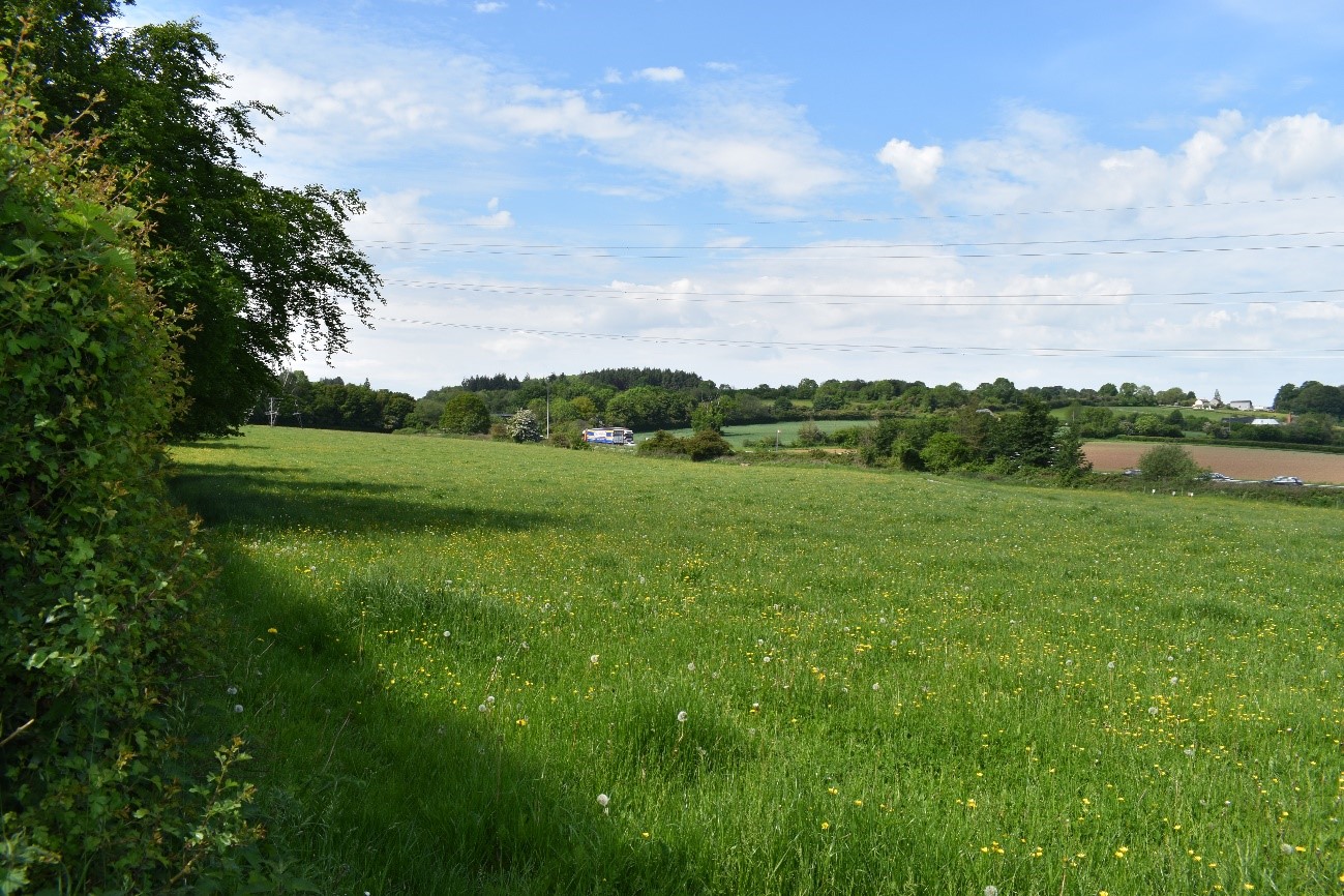 Mature woodland covers the rollling hillsides and helps to integrate the M5 motorway into the landscape.