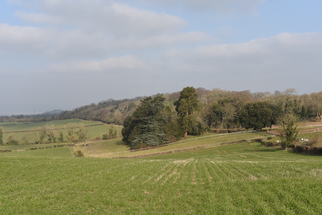 Wooded hillside and parkland style trees near Old Down (LCA 18).