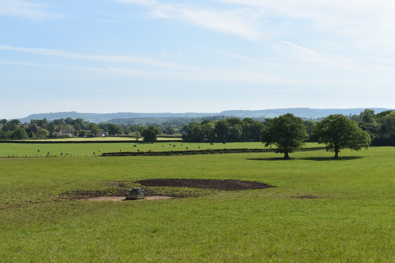 Mature in-field trees within pasture fields, and mature woodland near Falfield.