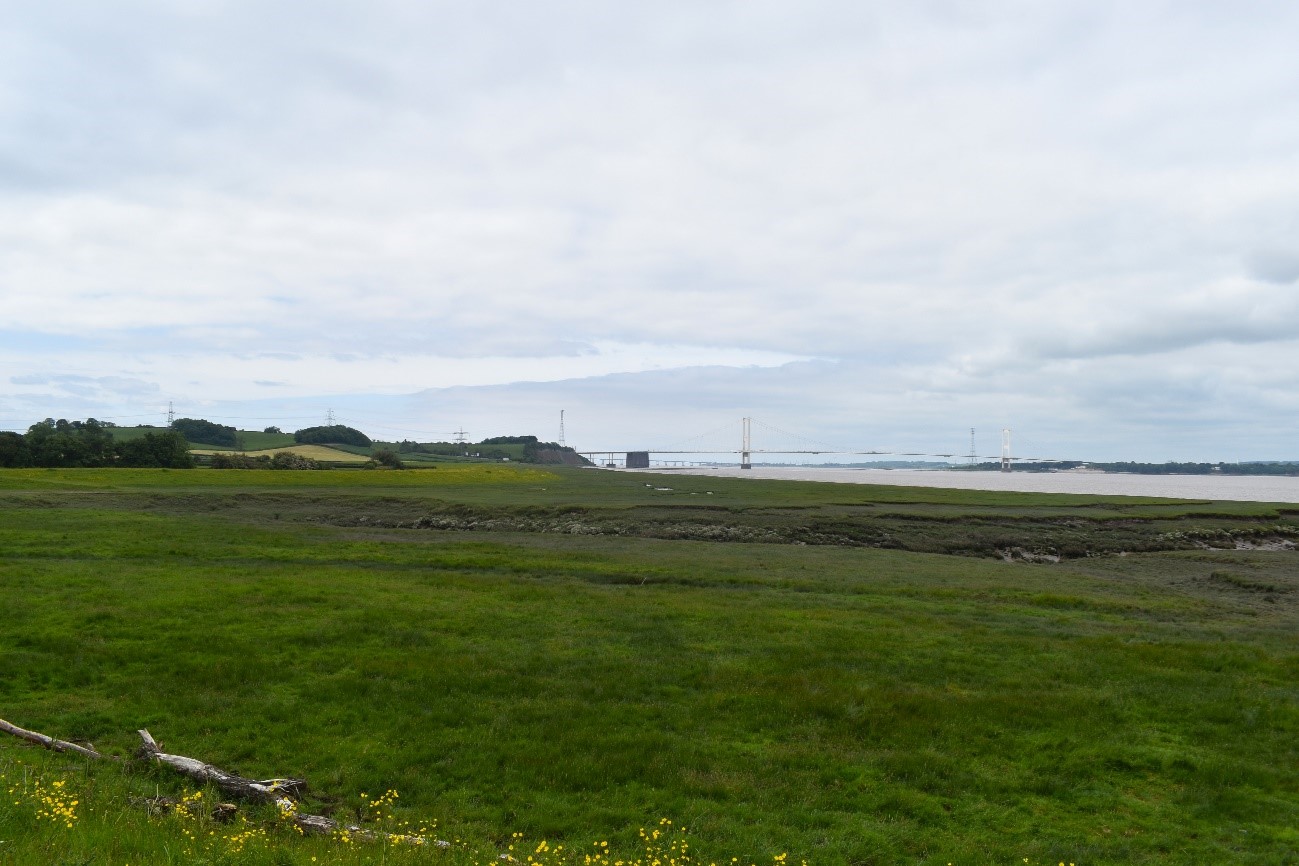 The open character and relatively sparse woodland cover enables long views towards the Severn Estuary.