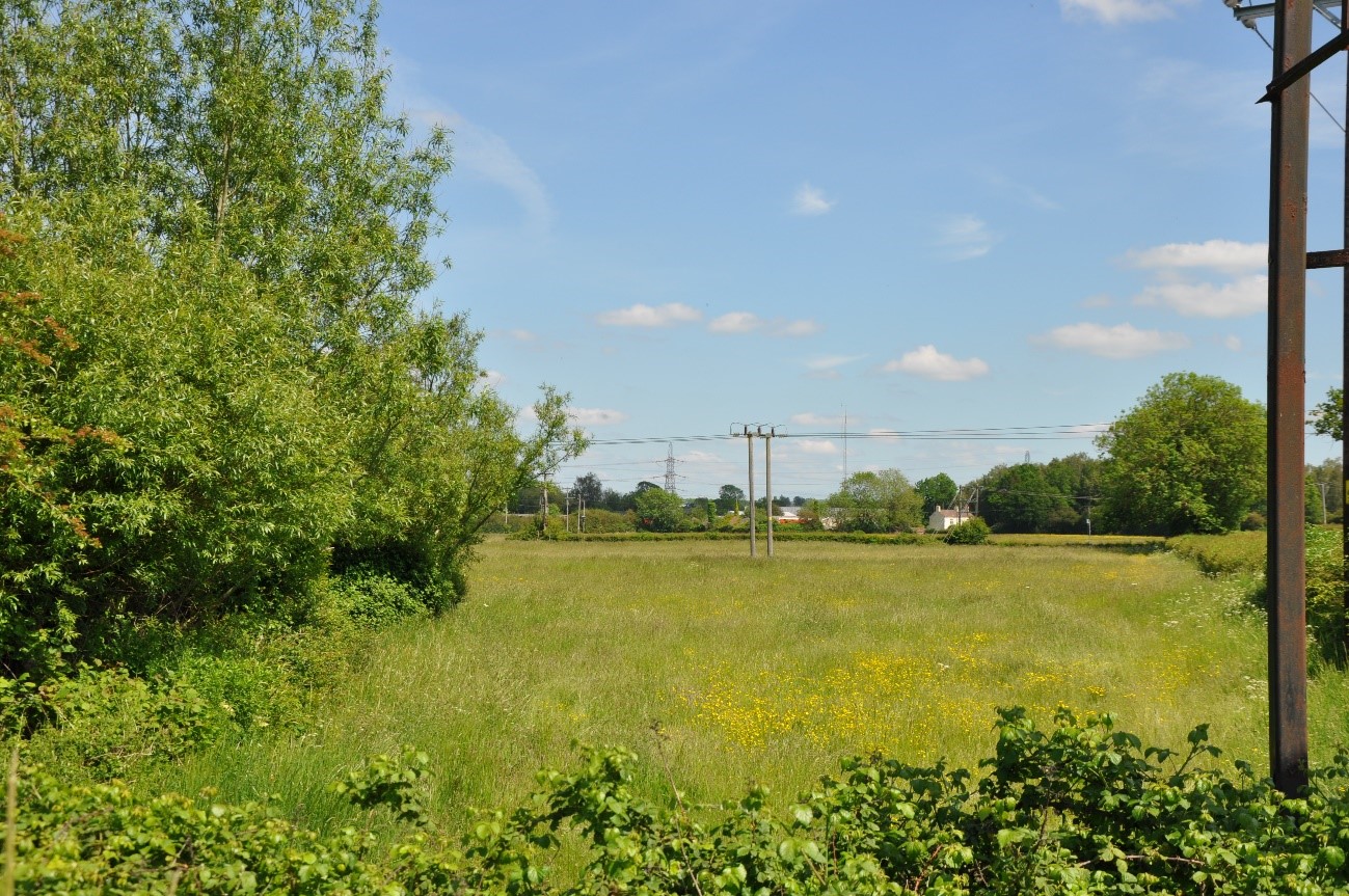 Tree cover around settlement edges helps to assimilate built development into the landscape.