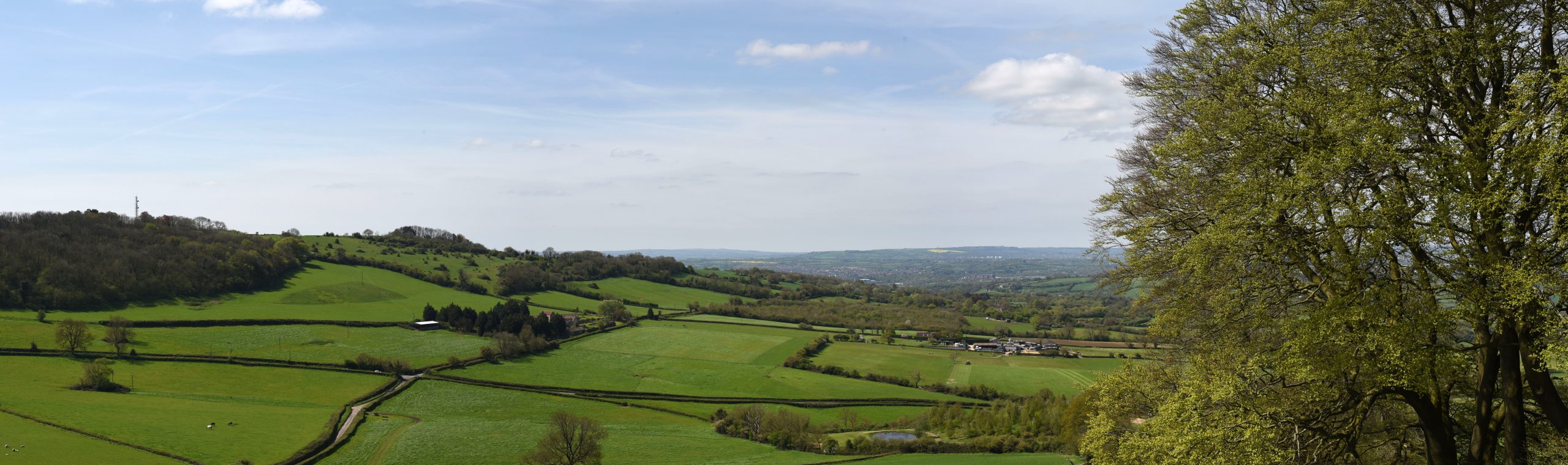 A high viewpoint looking over some green fields with a clear blue sky.